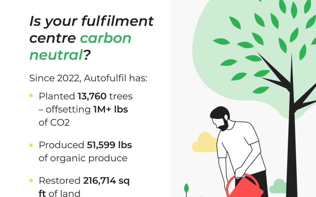 A Greener Future in eCommerce Fulfilment: Celebrating Autofulfil’s Carbon-Neutral Commitment