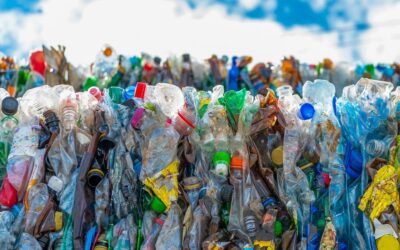 EU to Adopt New Packaging Rules For eCommerce Deliveries