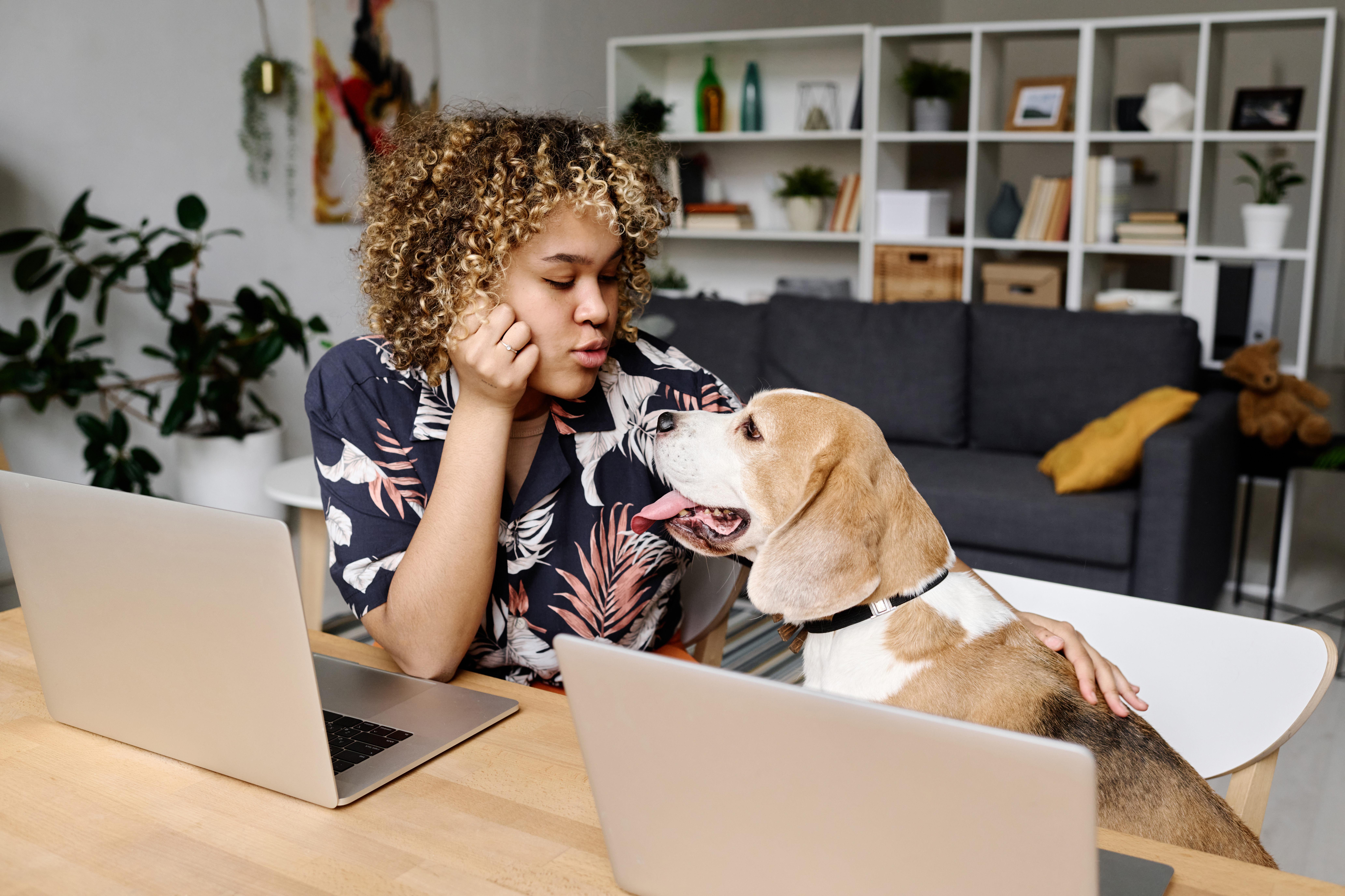 Fulfillment services for pet food, care products & so much more